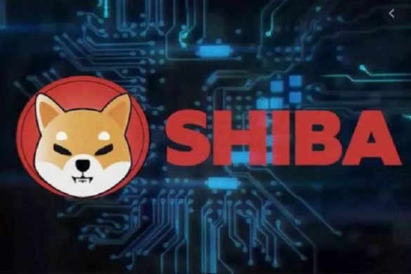 Shiba Inu coin