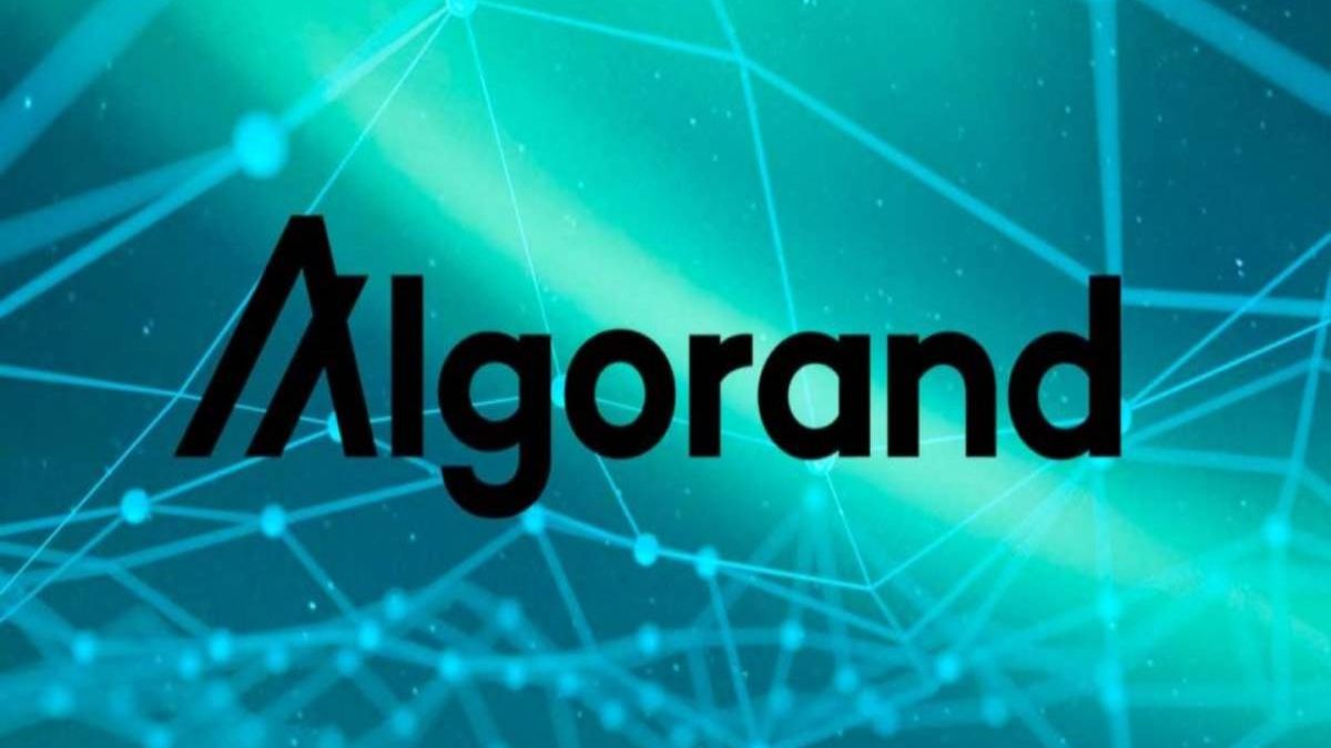 What is Algorand? – Work, Special, and More