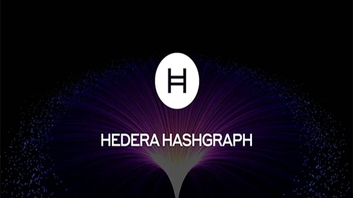 What is the Hedera Hashgraph? – Work, Services, and More