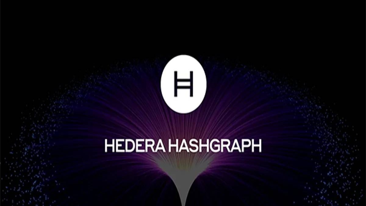 What is the Hedera Hashgraph? – Work, Services, and More