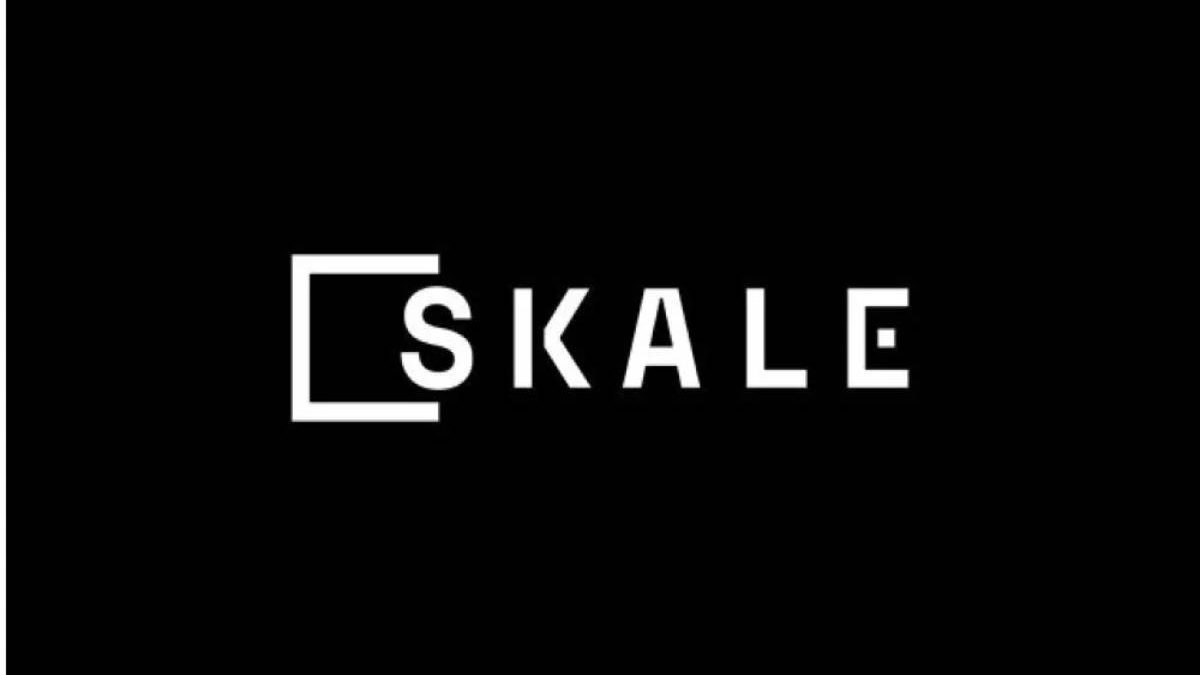 What is the SKALE Crypto Protocol? – Sidechains, and More