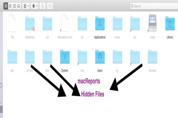 Hidden files in macOS