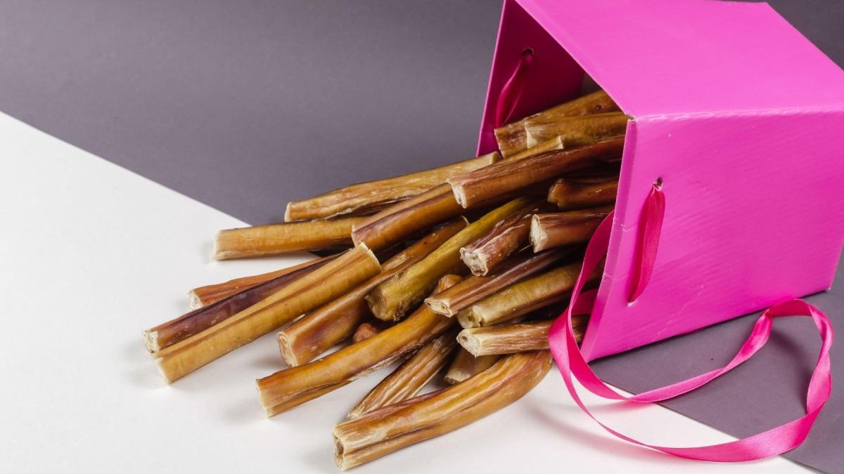 The Ultimate Guide to Bully Stick Holders for Dogs