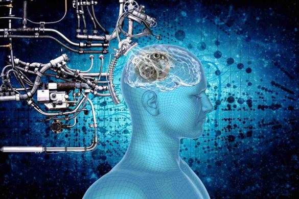 Rajkotupdates.news _ Elon Musk in 2022 neural link start to implantation of brain chips in humans