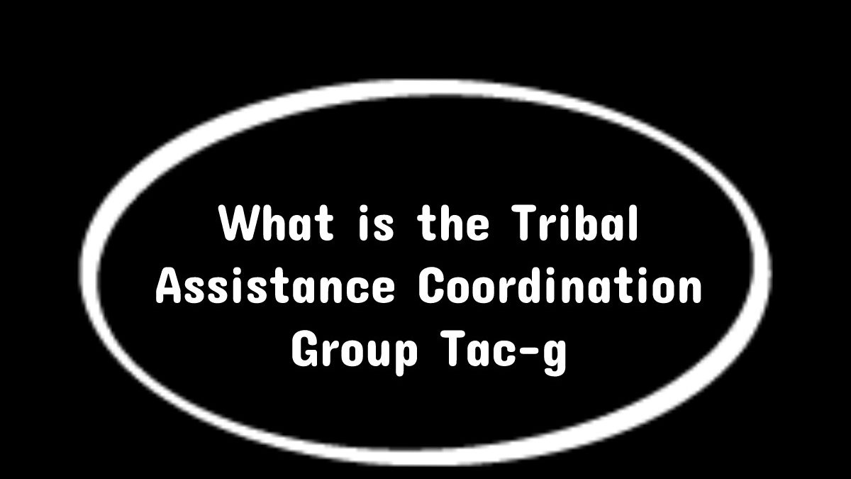 What is the Tribal Assistance Coordination Group Tac-g