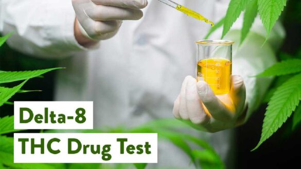 Delta-8 THC Stay In Your System_ Implications For Drug Testing