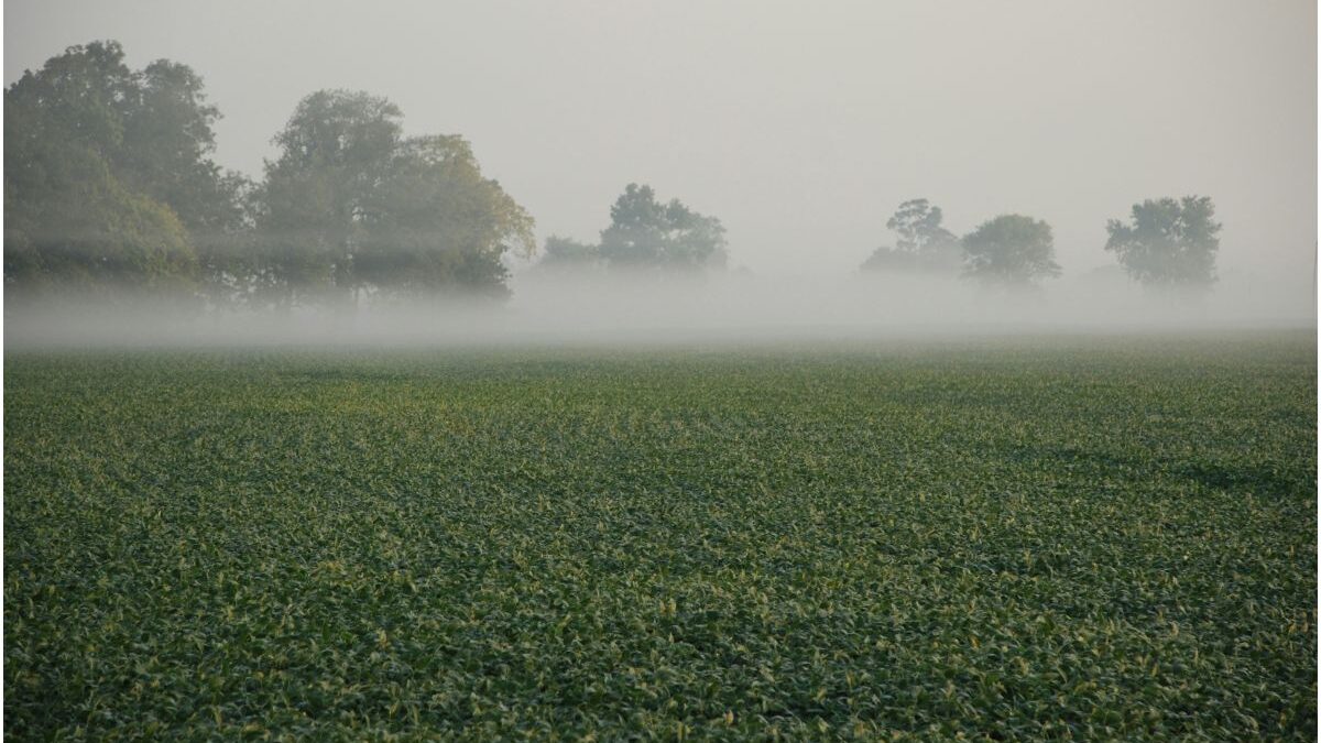 Strengthening Business Visibility in the Agricultural Sector